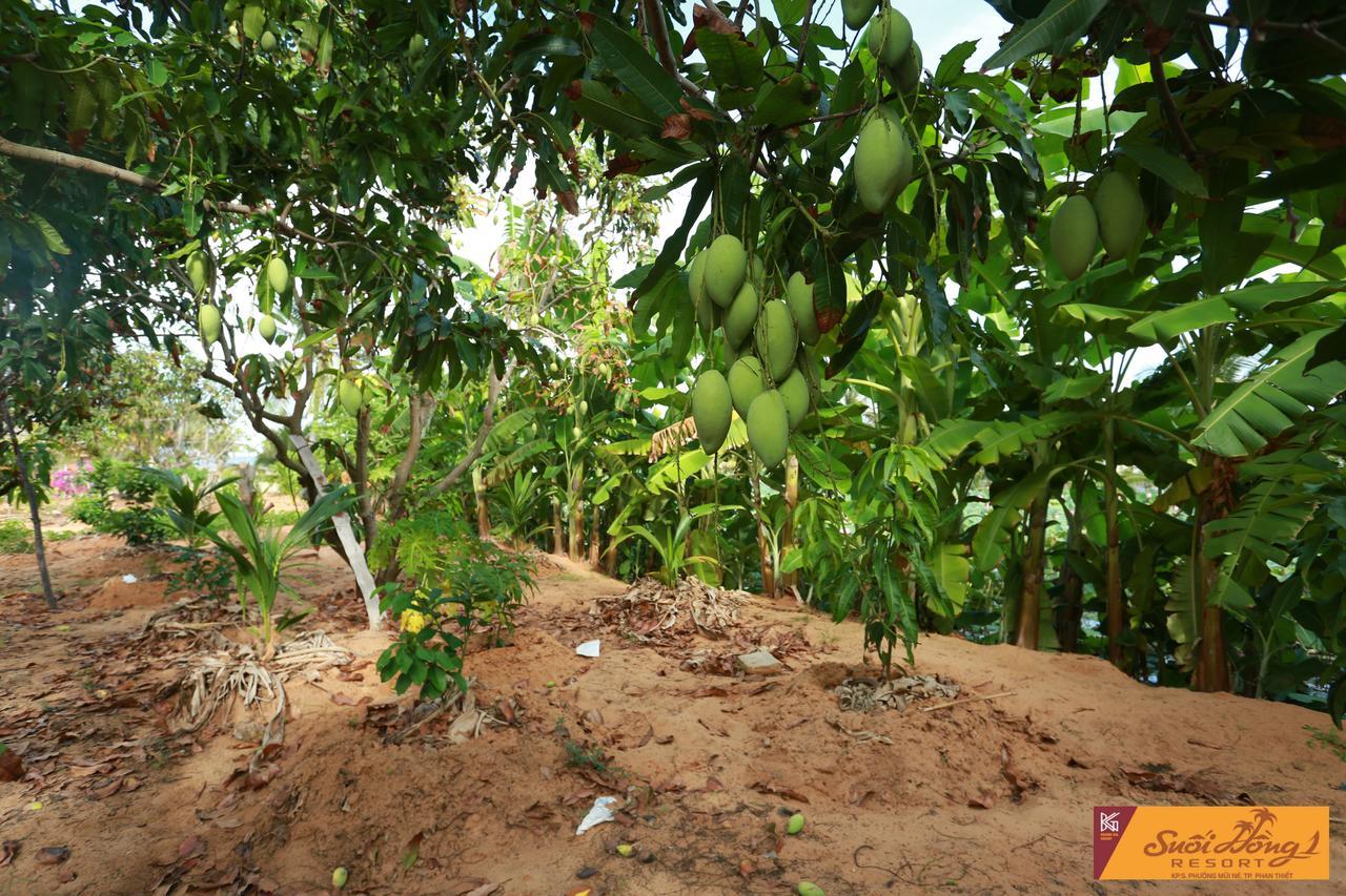 Suoi Hong Resort Mui Ne Exterior foto